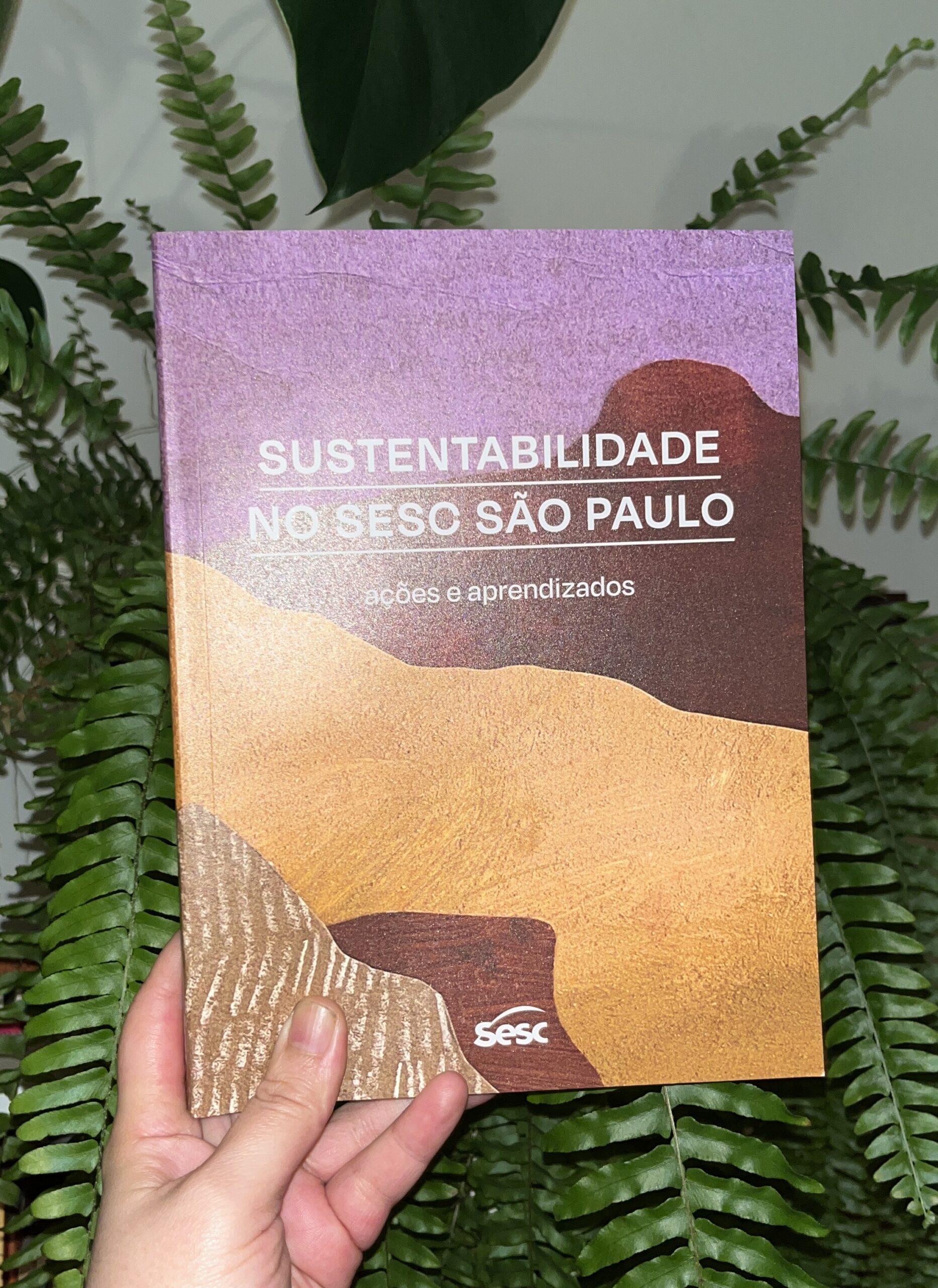 Sustentabilidade no Sesc São Paulo / Natalia Zapella